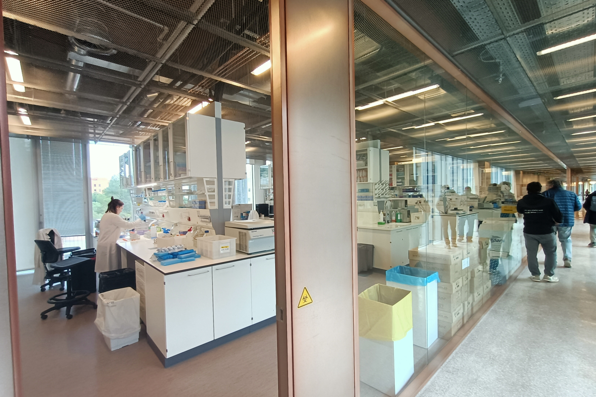 La innovadora obra “Edificio de Investigación VHIR” ha sido galardonada con el Premio FAD de Arquitectura 2025, uno de los más importantes del sector. El proyecto, diseñado por el reconocido estudio dels arquitectes Jordi Badia, Miquel Espinet i Jero Gutiérrez (BAAS Arquitectura i Espinet/Ubach), ha sido distinguido, según el Jurado, por la gran calidad del Proyecto, así como su elegancia y precisión en su ejecución. El equipo de AT3 ha participado formando parte de la UTE responsable de la Dirección de eje